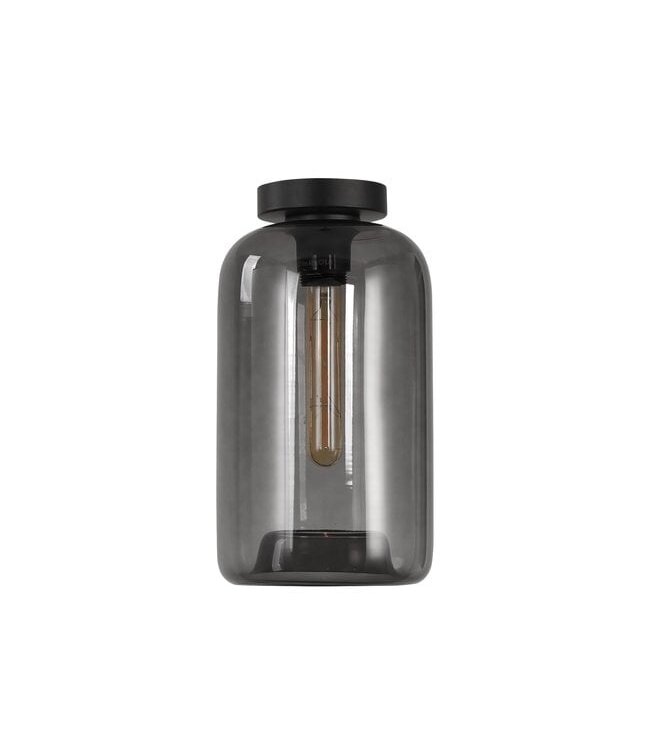 Artdelight Glas-Deckenleuchte Botany - Rauchgrau