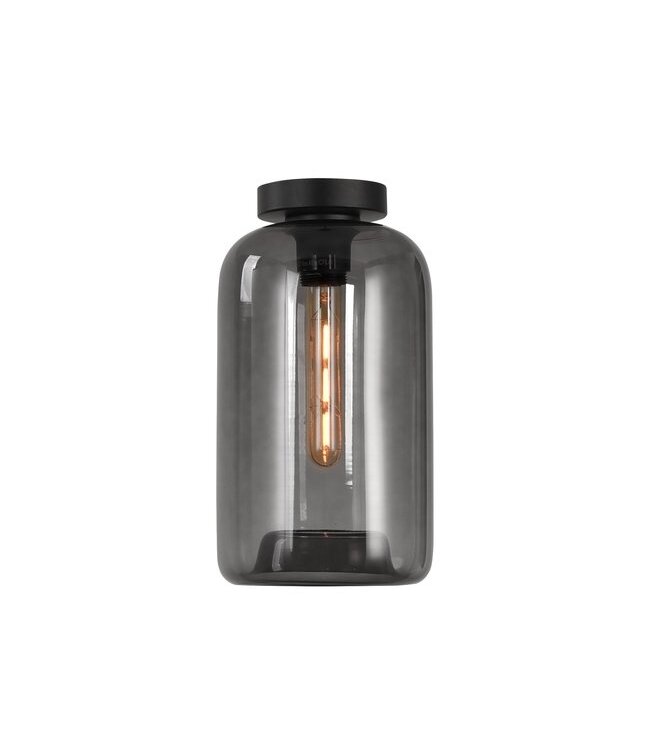 Artdelight Artdelight Glas-Deckenleuchte Botany - Rauchgrau