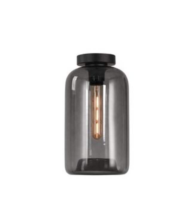 Artdelight Artdelight Glas-Deckenleuchte Botany - Rauchgrau
