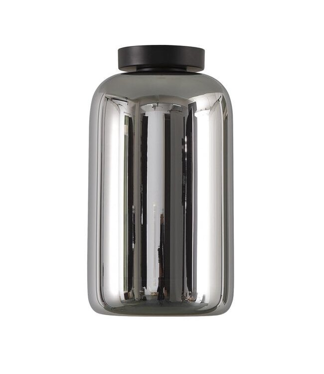 Artdelight Glas-Deckenleuchte Botany - Titanglas