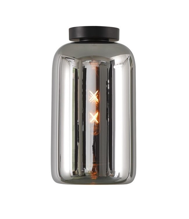 Artdelight Artdelight Glas-Deckenleuchte Botany - Titanglas