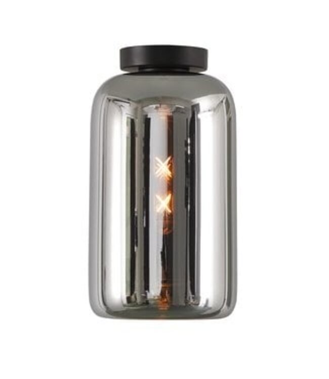 Artdelight Artdelight Glas-Deckenleuchte Botany - Titanglas