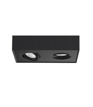 Artdelight Deckenstrahler Brooklyn 2L - Schwarz