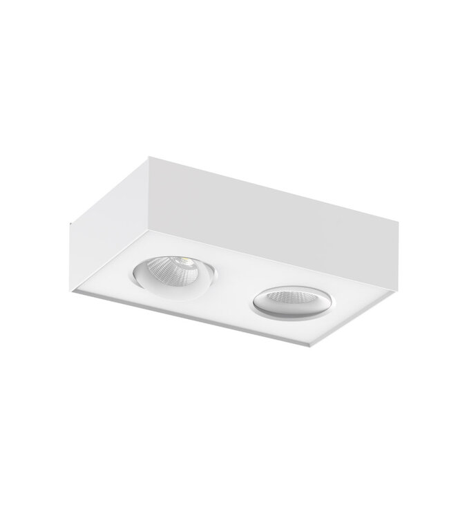 Artdelight Industrieller LED-Deckenstrahler Brooklyn 2L Dim to Warm - Weiß