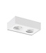 Artdelight Industrieller LED-Deckenstrahler Brooklyn 2L Dim to Warm - Weiß
