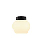 Artdelight Artdelight Elegante Glas-Deckenleuchte Windsor 18,5 cm - Weiß