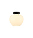 Artdelight Artdelight Elegante Glas-Deckenleuchte Windsor 24 cm - Weiß