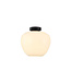 Artdelight Artdelight Elegante Glas-Deckenleuchte Windsor 29 cm - Weiß