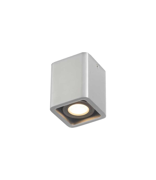 Artdelight Moderner Deckenstrahler Bronx 1L - Aluminium