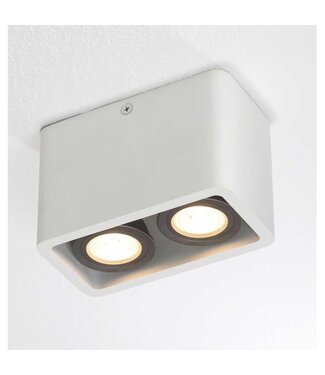 Artdelight Deckenstrahler Bronx 2L - Weiß