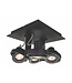 Artdelight Moderner Deckenstrahler Meist 4L - Schwarz