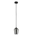 Artdelight Artdelight Glas-Pendelleuchte Tombo 12,5 cm - Titanglas