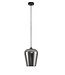 Artdelight Artdelight Glas-Pendelleuchte Tombo 23 cm - Titanglas