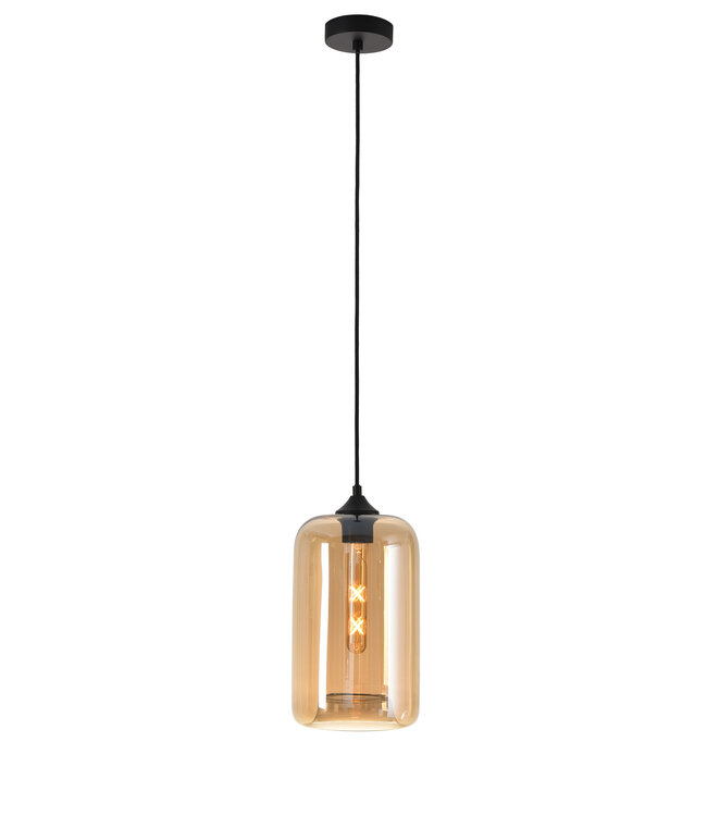 Artdelight Artdelight Glas-Pendelleuchte Botany - Bernstein