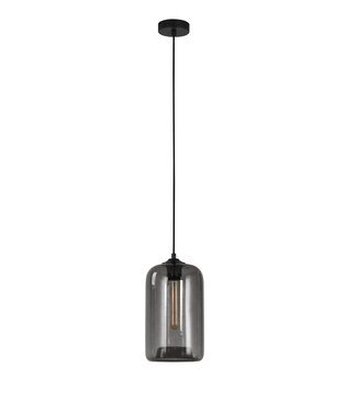 Artdelight Pendelleuchte Botany - Rauchgrau
