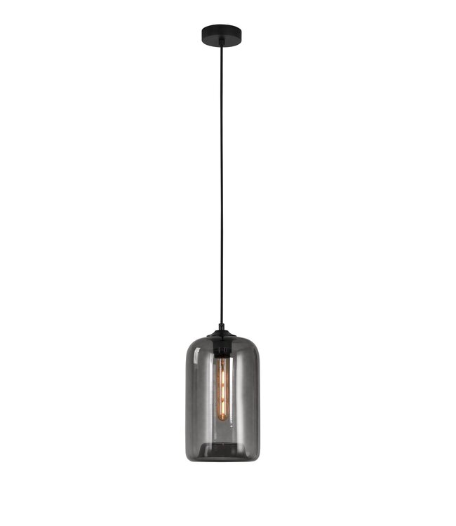 Artdelight Artdelight Glas-Pendelleuchte Botany - Rauchgrau