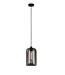 Artdelight Artdelight Glas-Pendelleuchte Botany - Rauchgrau