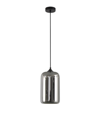 Artdelight Pendelleuchte Botany - Titanglas