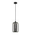 Artdelight Artdelight Glas-Pendelleuchte Botany - Titanglas