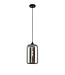 Artdelight Artdelight Glas-Pendelleuchte Botany - Titanglas