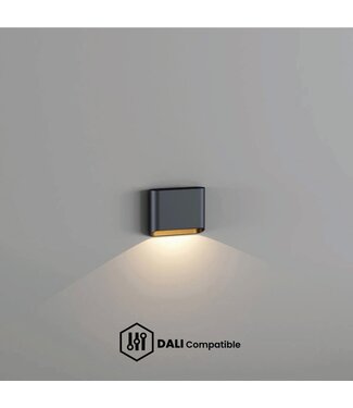 Artdelight DALI-LED-Wandleuchte Diaz 1L - Schwarz/Mattgold
