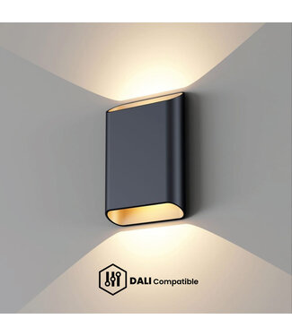 Artdelight DALI-LED-Wandleuchte Diaz L - Schwarz/Champagner