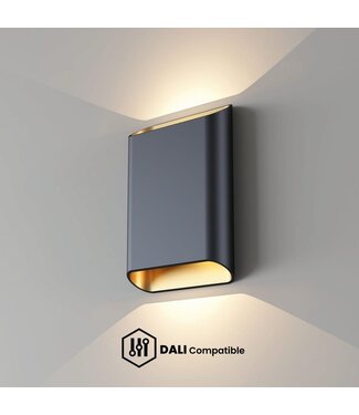 Artdelight DALI-LED-Wandleuchte Diaz L - Schwarz/Mattgold