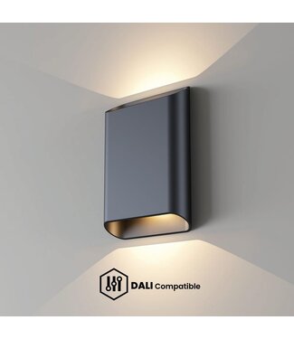 Artdelight DALI-LED-Wandleuchte Diaz L - Schwarz - Dim-to-Warm