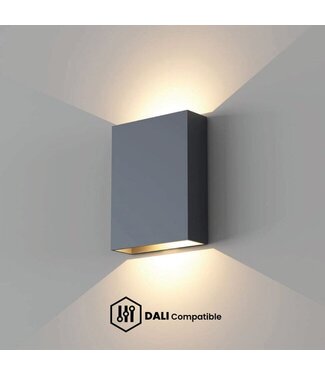Artdelight DALI-Wandleuchte Memphis - Schwarz/Mattgold