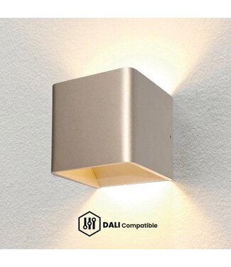 Artdelight DALI Wandleuchte Fulda Champagner