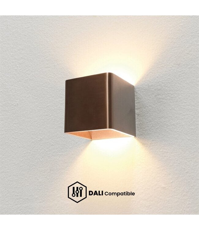 Artdelight Artdelight Moderne DALI Wandleuchte Fulda - Champagner