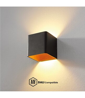 Artdelight DALI Wandleuchte Fulda Schwarz/Kupfer