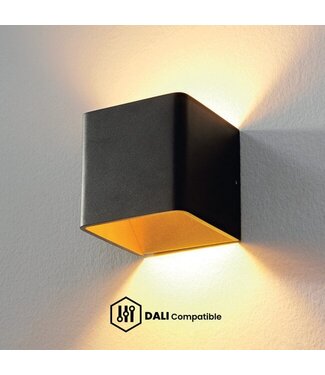 Artdelight DALI Wandleuchte Fulda Schwarz/Mattgold