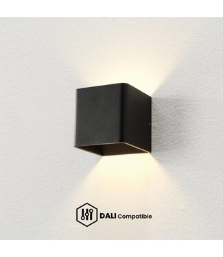 Artdelight DALI Wandleuchte Fulda Schwarz Dim-to-Warm