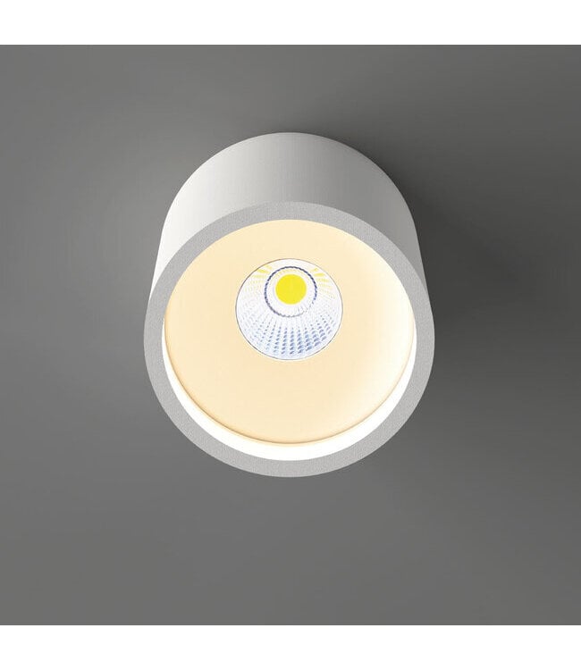 Artdelight Artdelight Moderne DALI LED-Deckenleuchte Orleans - Weiß