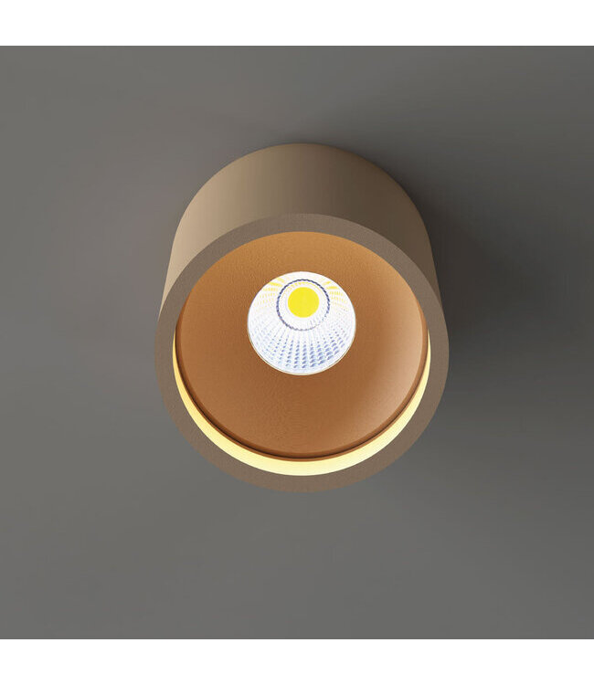 Artdelight Artdelight Moderne DALI LED-Deckenleuchte Orleans - Champagner