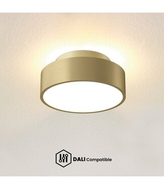Artdelight DALI Deckenleuchte Chicago 150 Warmgold