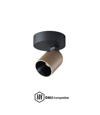 Artdelight DALI Deckenstrahler Houston 1L Schwarz/Champagner