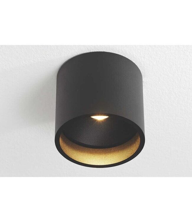 Artdelight Artdelight Moderne DALI LED-Deckenleuchte Ormond - Schwarz