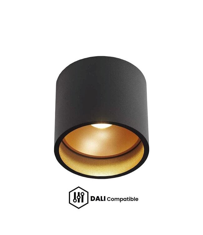 Artdelight Artdelight Moderne DALI LED-Deckenleuchte Ormond - Schwarz