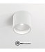 Artdelight Artdelight Moderne DALI LED-Deckenleuchte Ormond - Weiß