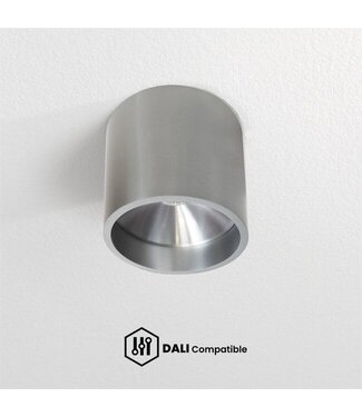 Artdelight DALI Deckenleuchte Ormond Aluminium