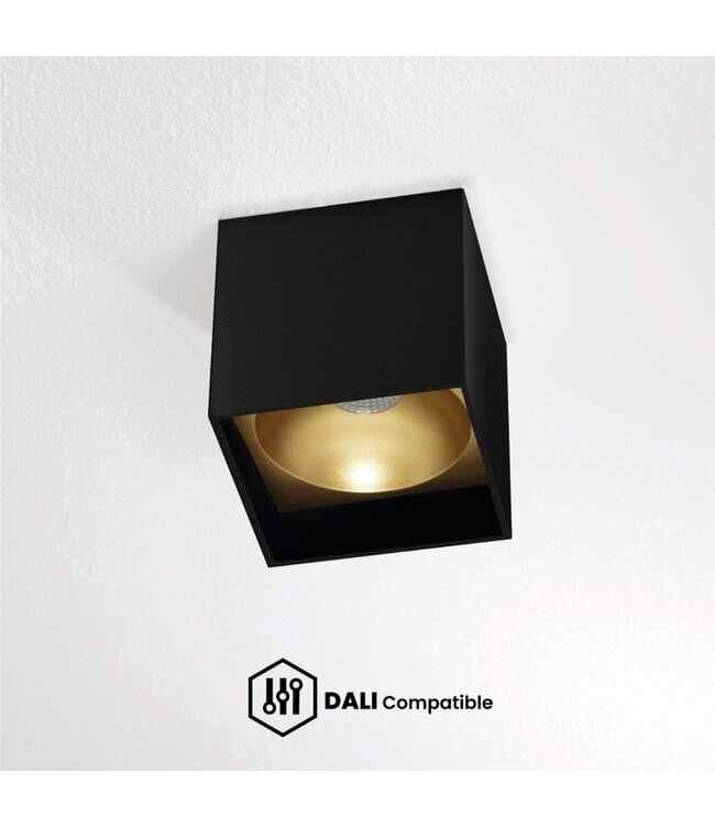 Artdelight Artdelight Moderne DALI LED-Deckenleuchte Brock - Schwarz