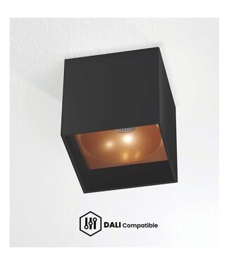 Artdelight DALI Deckenleuchte Brock Schwarz/Kupfer