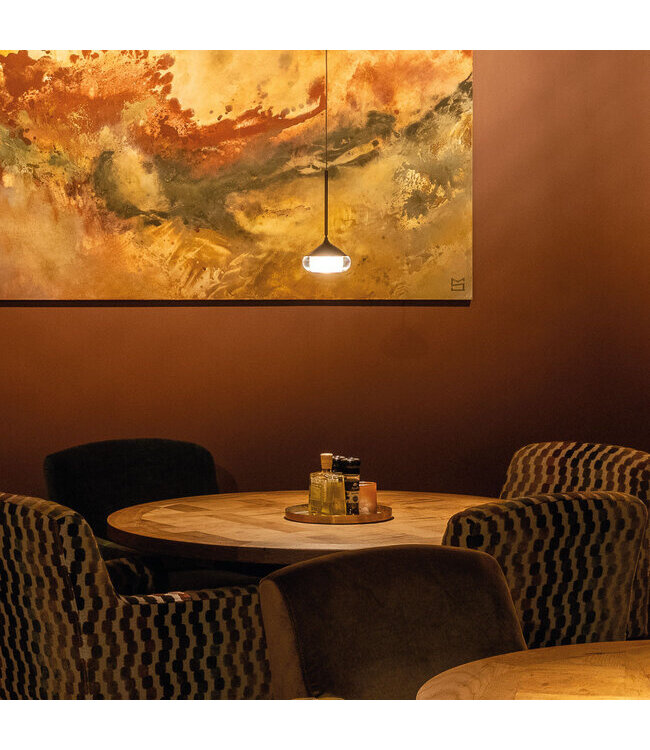 Artdelight Artdelight Moderne DALI LED-Pendelleuchte Phoenix - Dunkelbronze