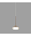 Artdelight Artdelight Moderne DALI LED-Pendelleuchte Phoenix - Champagner