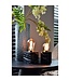 Calex E27 dimmbare LED-Filamentlampe Rustikal gold 3,8W 2100K 250lm