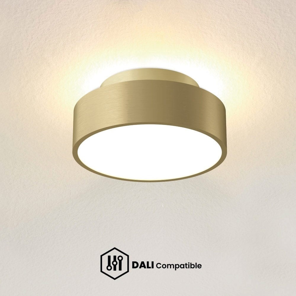 Goldene DALI-Beleuchtung mit edlem Glanz
