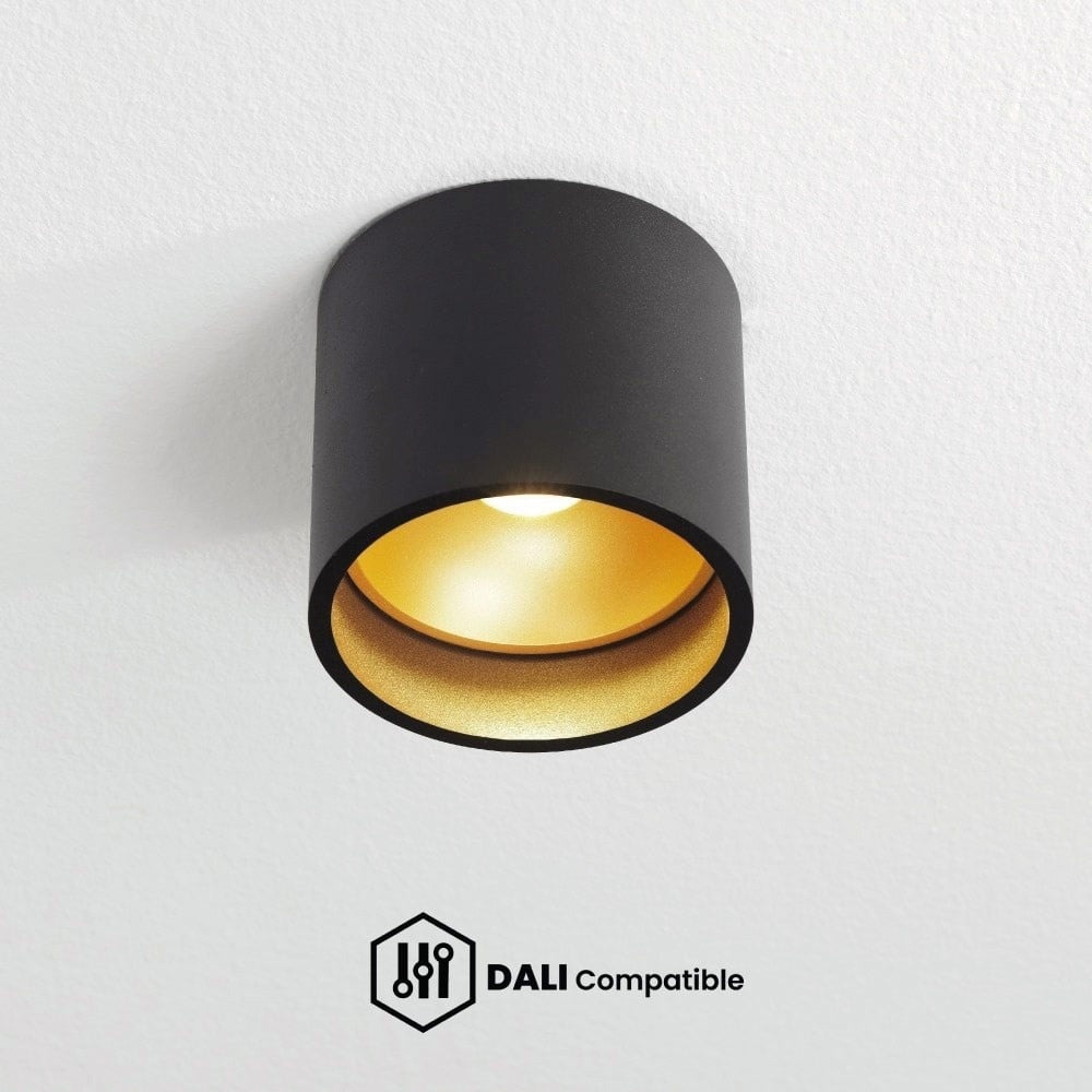 LED-DALI-Beleuchtung für effiziente Lichtstimmung