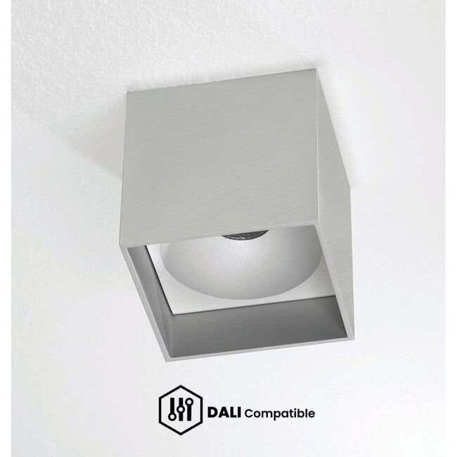 Stahlgraue DALI-Deckenleuchten für flexible Lichtsteuerung